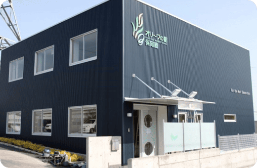 オリーブの樹保育園の写真